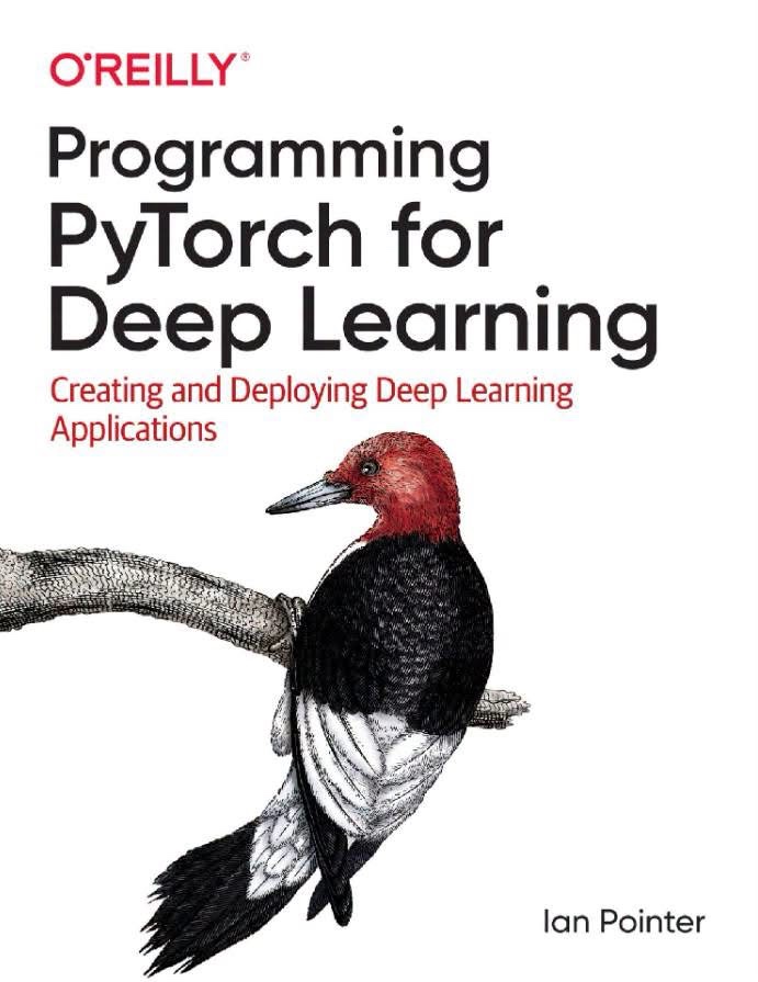 Pytorch Deep Learning Programming - image 1